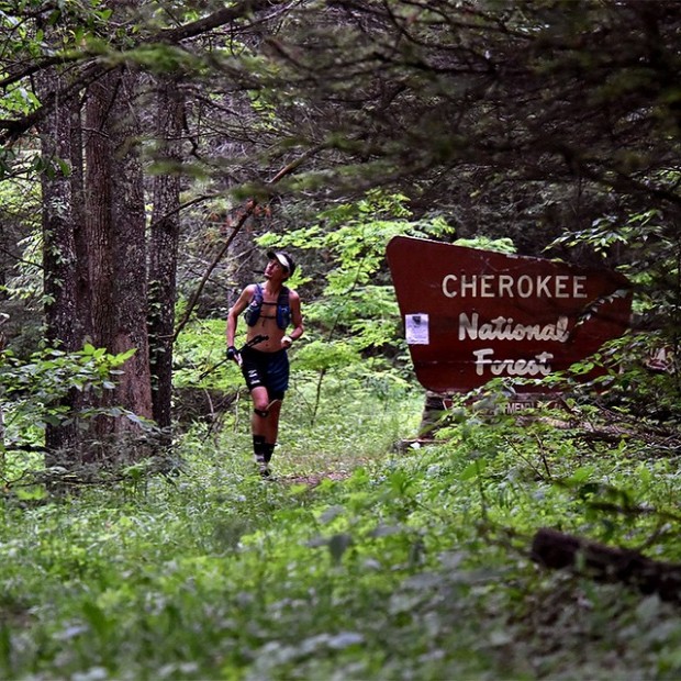 No parque nacional Cherokee, nas proximidades de Erwin, Tennessee (Reprodução/Instagram)