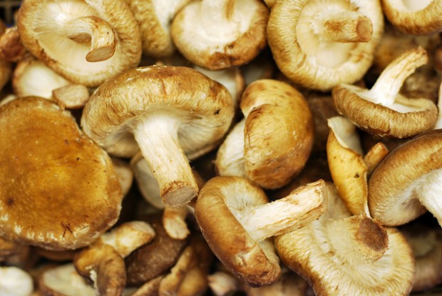 Shiitake ( tup wanders/Creative Commons via Flickr)